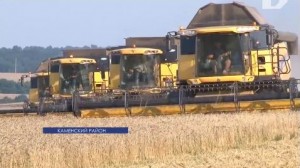 В Каменском районе подходит к завершению уборка озимой пшеницы